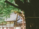 店内の展示写真について
