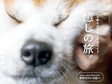 【マガジンハウス　2024.2,25】　Hanako(ハナコ) 2024年 4月号